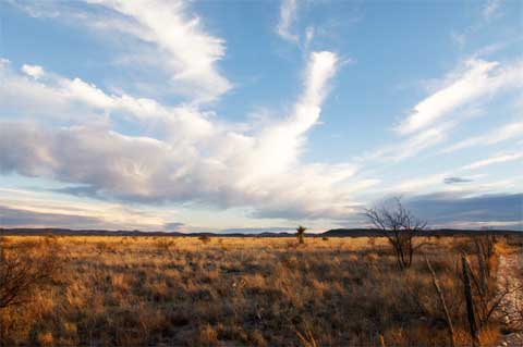 Buying Land in Texas